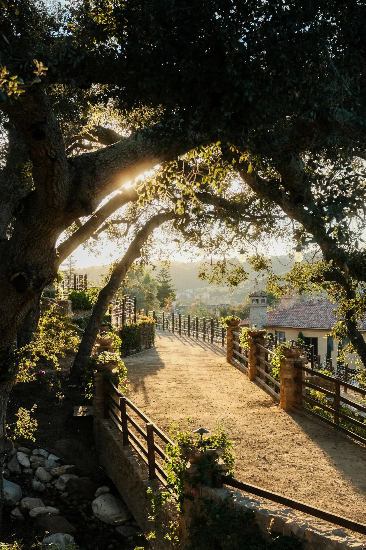 The Bridge at The Hidden Encounter
