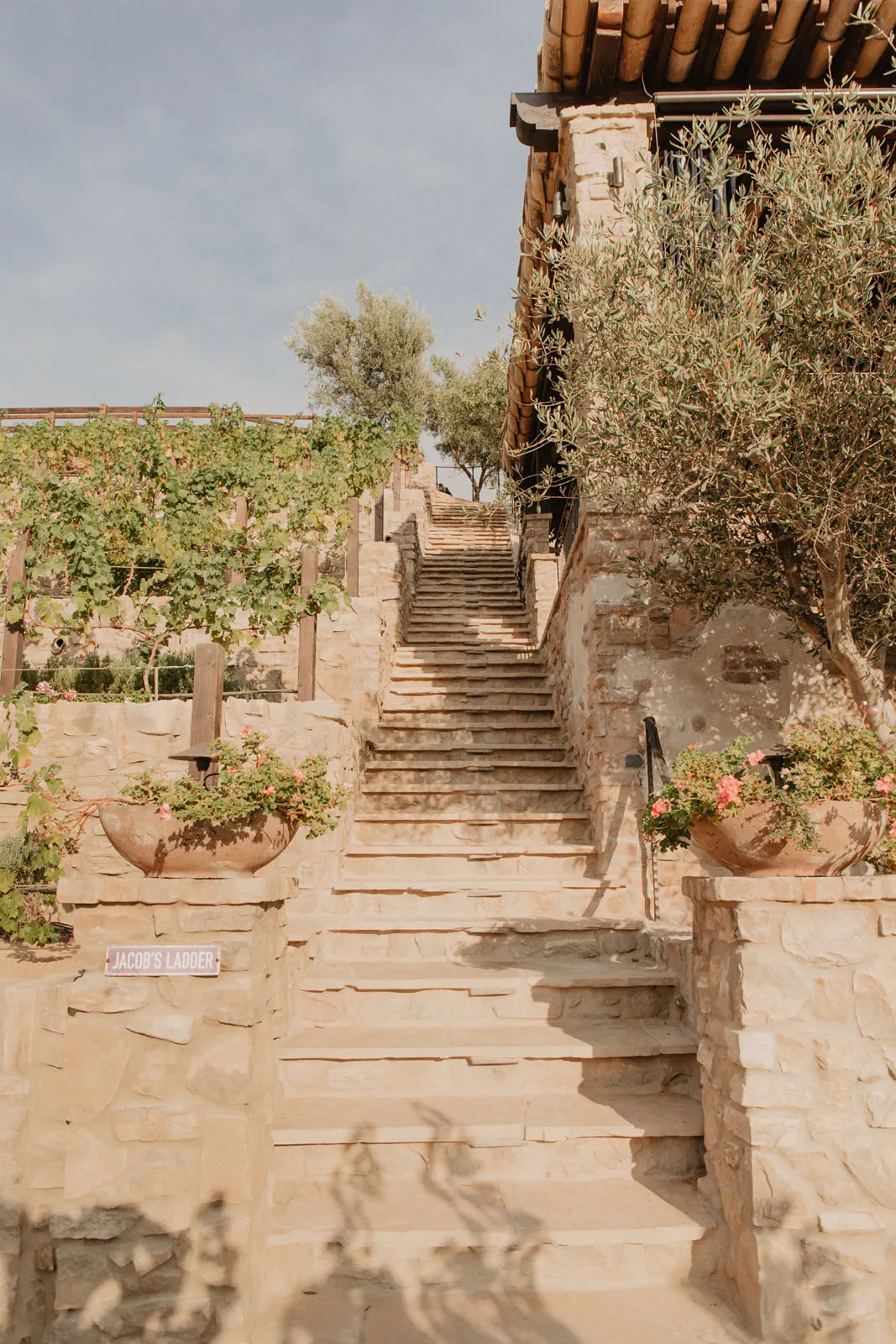 Jacob's Ladder at The Hidden Encounter