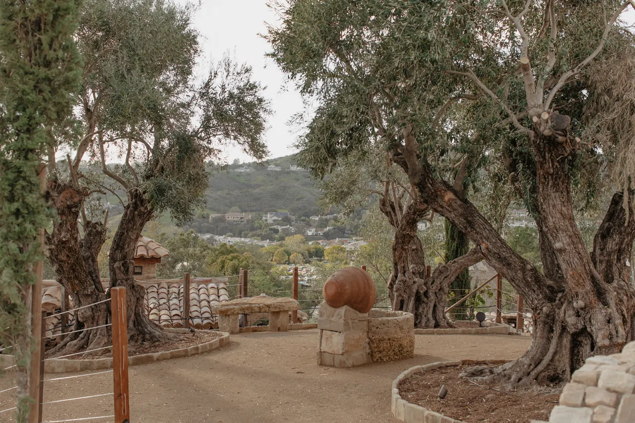 Garden of Gethsemane at The Hidden Encounter