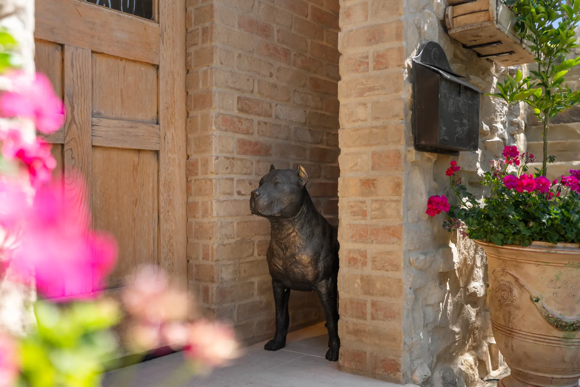 Bronze dog seated at a brick threshold beside potted geraniums