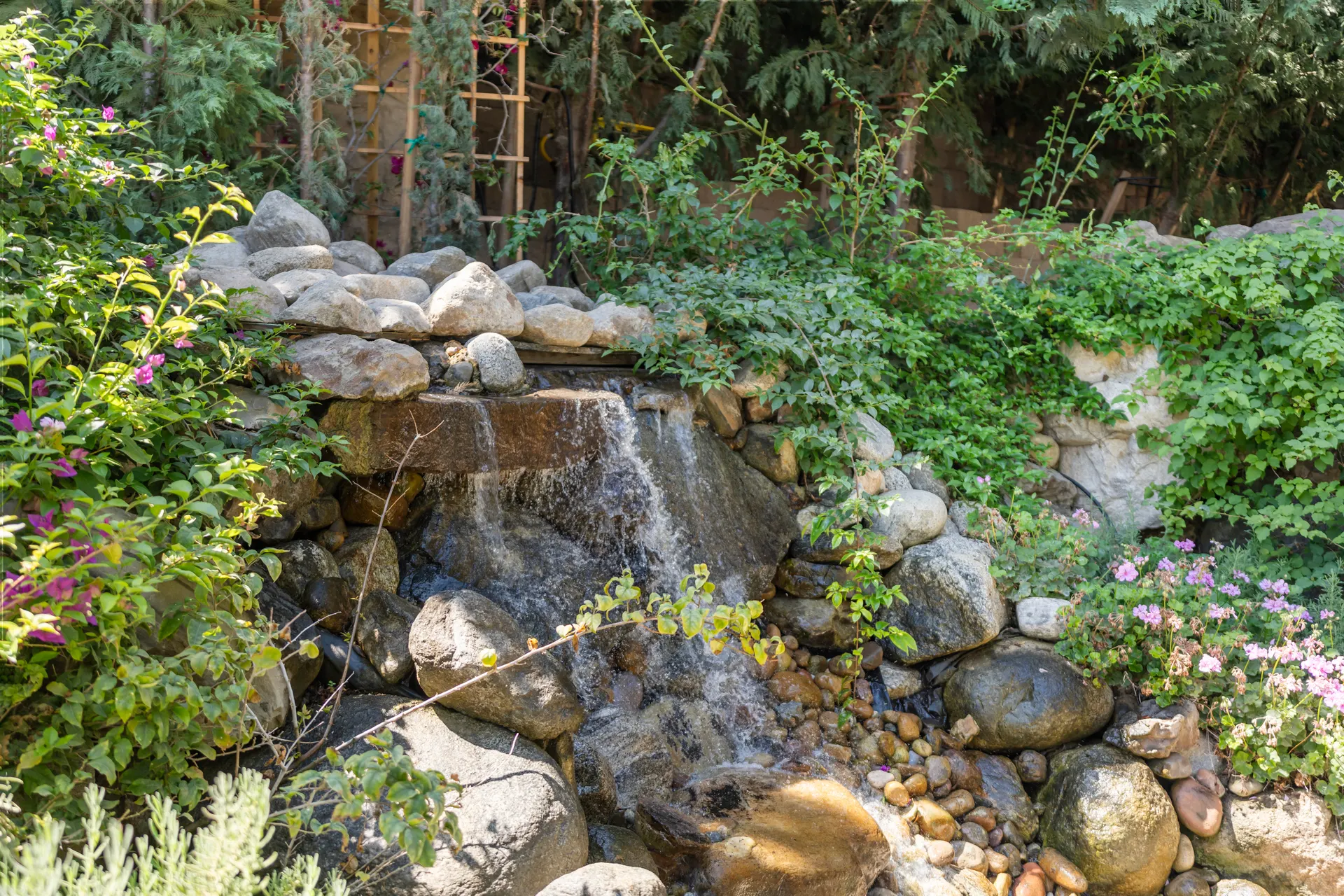 Boulder watercourse running down through dense planting